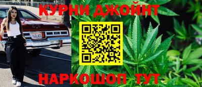сатива Краснознаменск