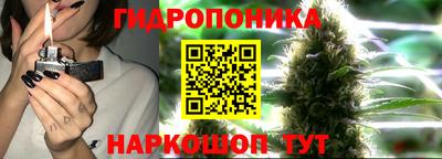 кокс Краснодар