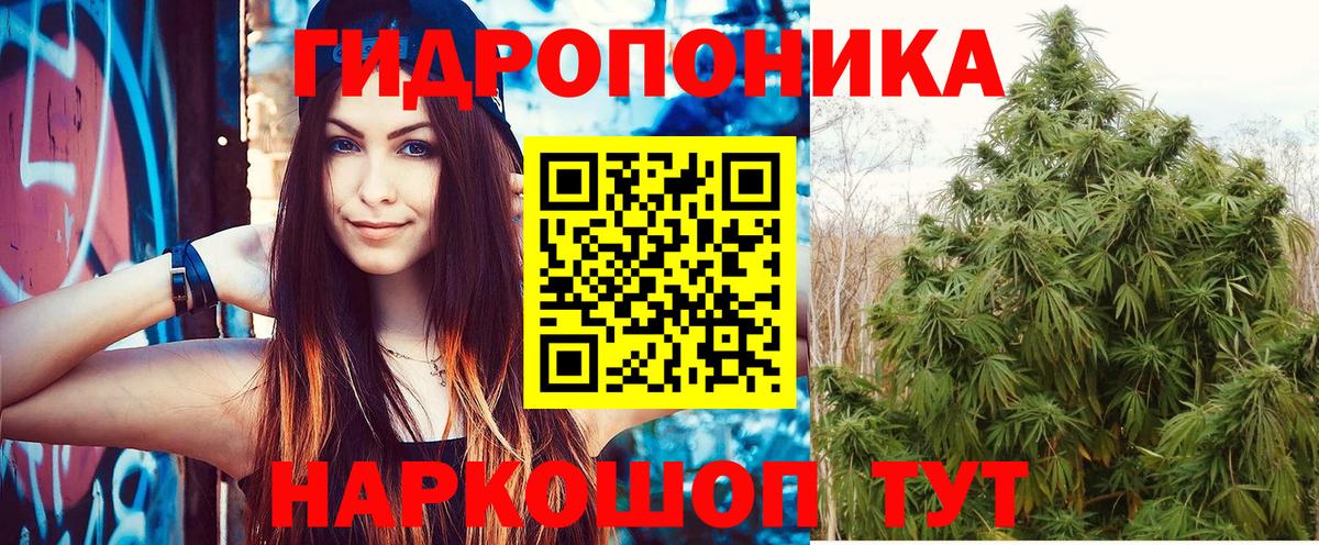 Бошки марихуана сатива Пятигорск